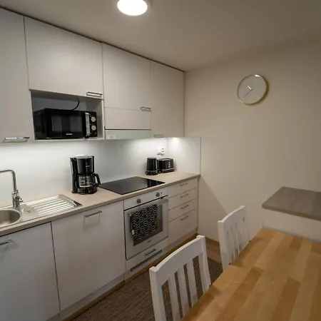 Snowflake X Apartament *