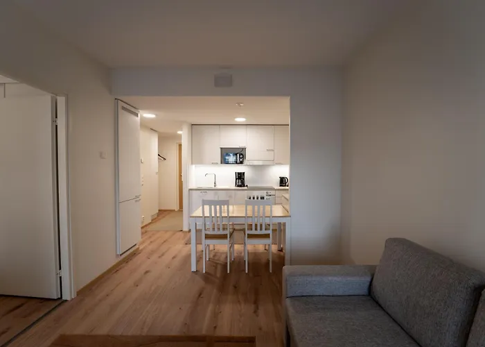 Snowflake X * 로바니에미